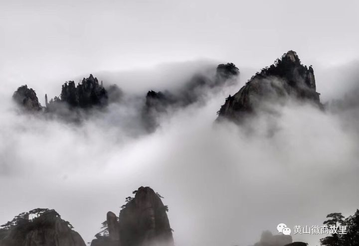 大美黄山 景美 人更美!