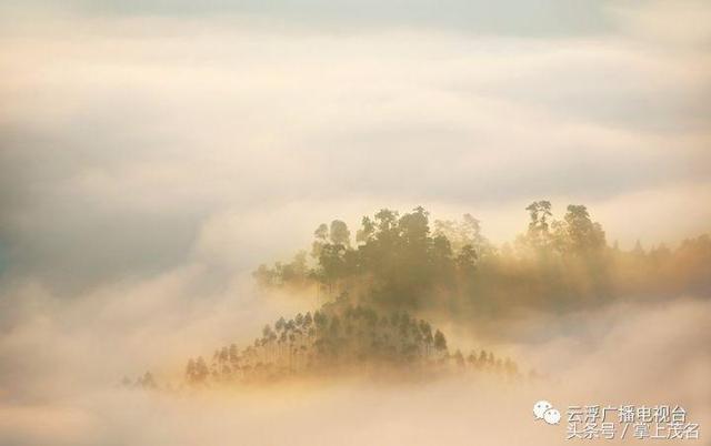 云浮醉美天马山:云雾缭绕 仙气十足