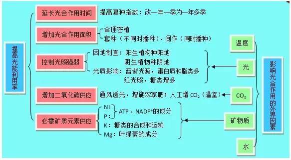 影响人口增长快慢的根本因素_1 1 人口的数量变化(3)