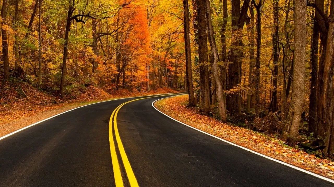 尤其都秋天,苏州的公路美的色彩斑斓,美的壮阔,美的震撼!