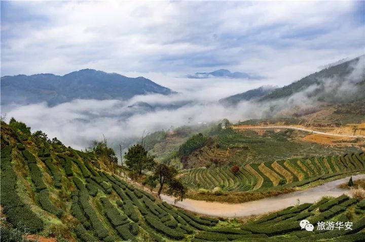 【旅游】华安官畲(龙涓近邻)一一漳州十大美丽乡村宣传片新鲜出炉