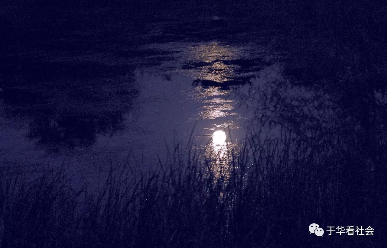 美景 月夜 景观 自然 壁纸 月亮倒映湖水 - 高清图片，堆糖，美图壁纸兴趣社区