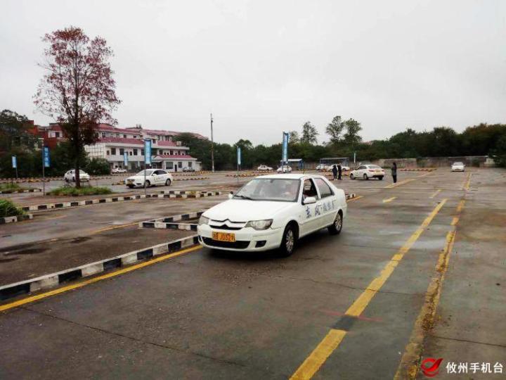 【十一假期】驾考新规落地,驾校迎来练车"小高峰"