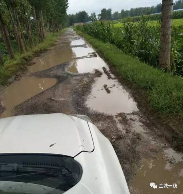 (杞县裴村店乡孟里寨村的路)图片