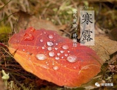 【气】躁多食温润食物 【乐】治百病神奇妙方 祝寒露快乐!