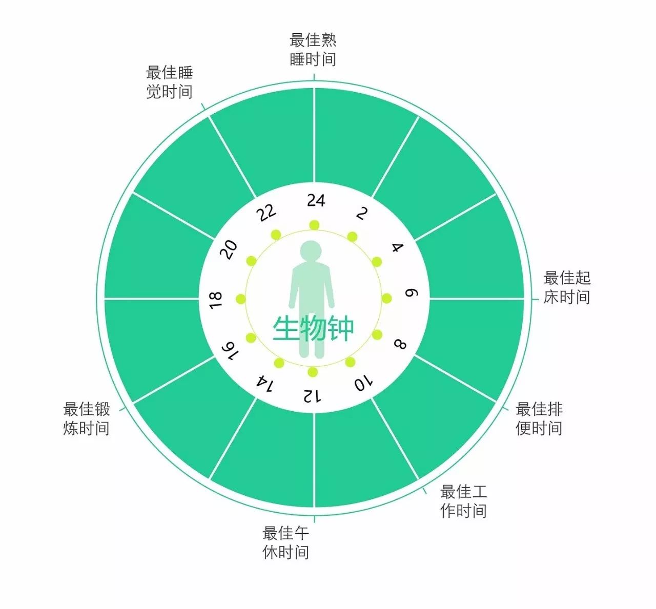 石河子多少人口_刚拍的图 今天石河子好多人都在那里游玩