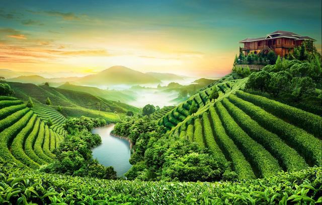 中国茶叶第一县，号称中国茶都，茶叶世界闻名但产地却鲜有人知_搜狐旅游_搜狐网