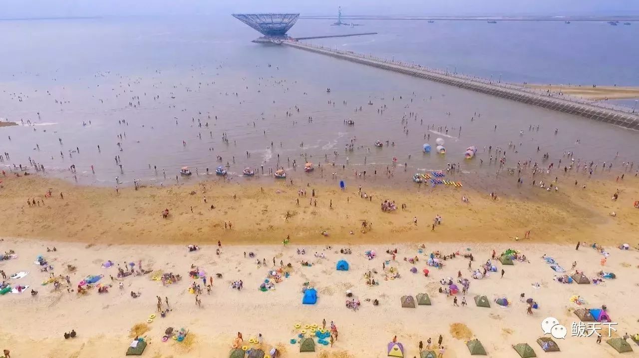 多彩鲅鱼圈,风景不一般!