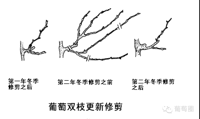 截长什么短成语_成语故事图片(3)