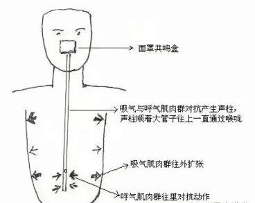 独家歌唱发声自我训练速成法(建议收藏)