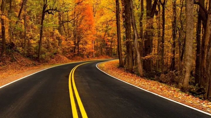 苏州有条最美自驾公路,秋季色彩斑斓,美的震撼!