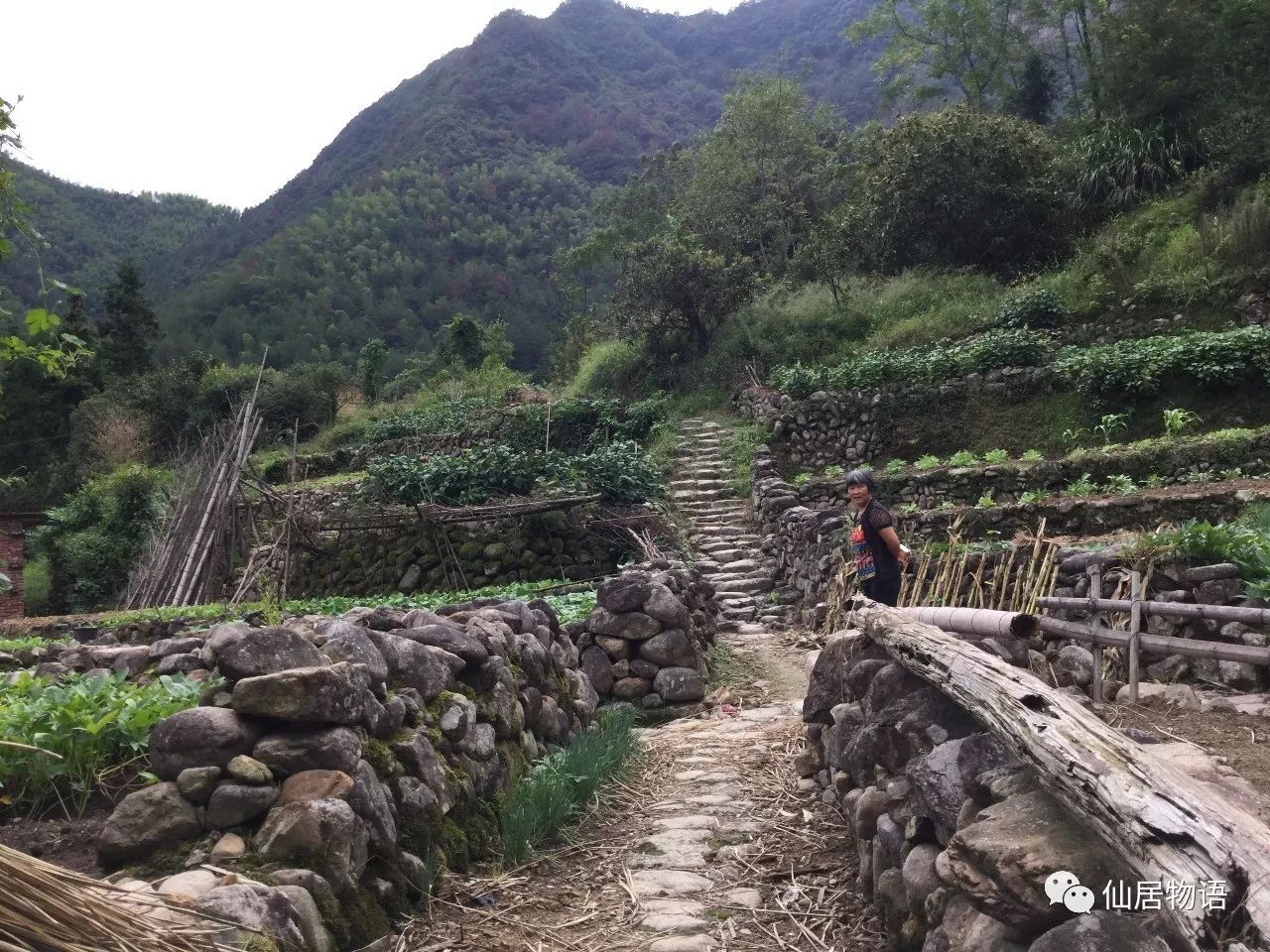 仙居古村落沙头村