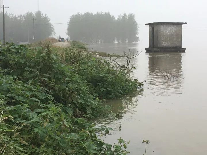 汉江汛情严峻天门多地受灾全力抗洪防汛