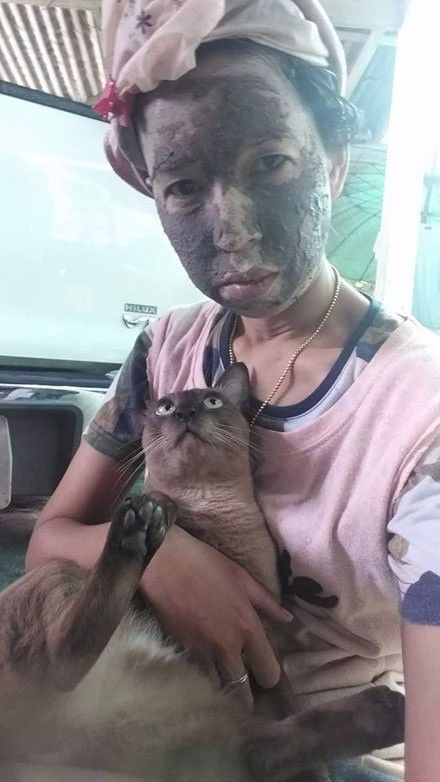 主人在敷面膜,拉着猫一起拍照,结果发现猫的表情亮了.