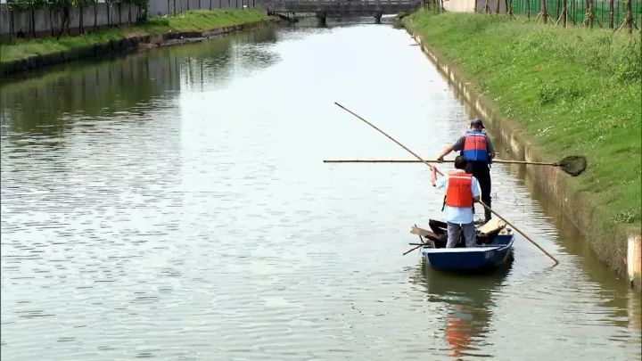 砥砺奋进的5年超美嘉定的生态宜居空间越来越多我爱这片嘉定绿