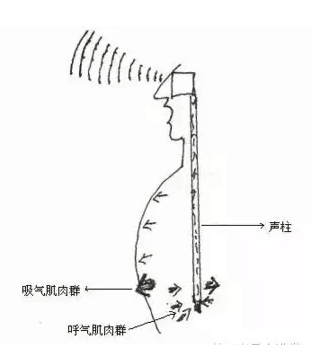 独家歌唱发声自我训练速成法(建议收藏)