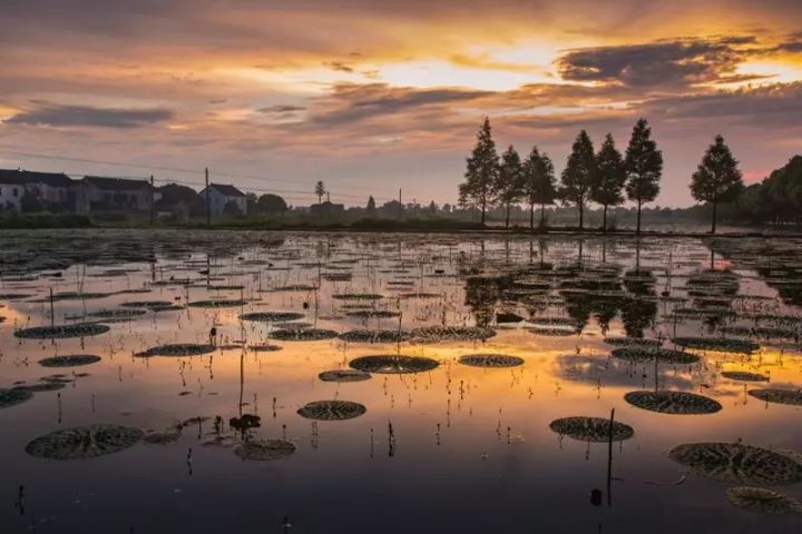 【砥砺奋进的五年·漕湖街道】十里漕湖,变化万千