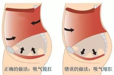 补阳气提肛与握固