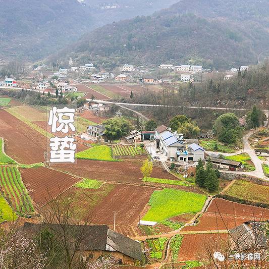 惊蛰:(2016年 月 日拍摄于仁和坪镇升子坪村)