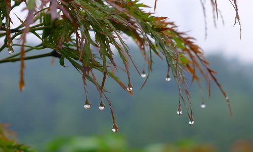 17年来成都最晚入秋 长假返程路秋雨添乱