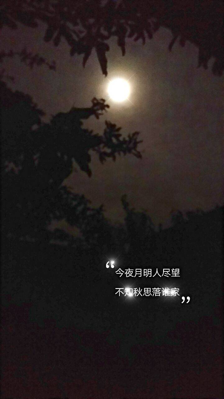 皇甫萌竹:今夜月明人尽望,不知秋思落谁家.