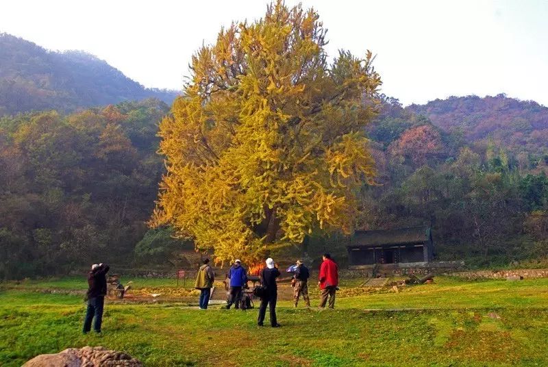 鲁山县有多少人口_鲁山县地图