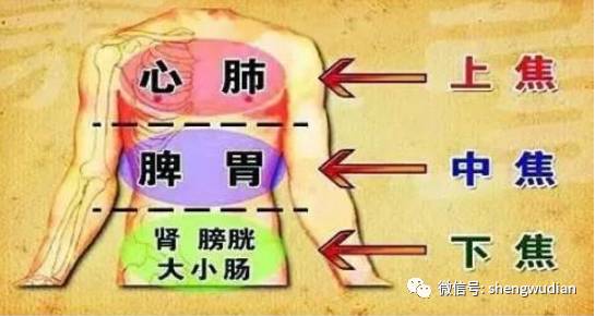 任何一个脏腑出问题,都会在背部的对应区域反应出来