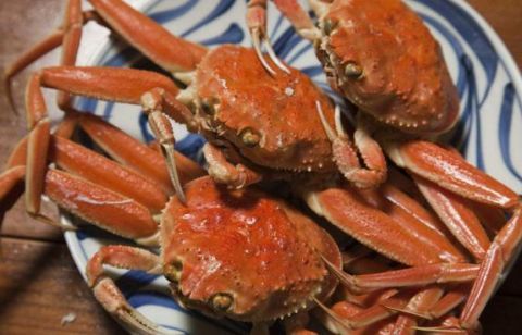 警惕丨男子吃螃蟹后中毒,银川人这样的螃蟹不能吃!