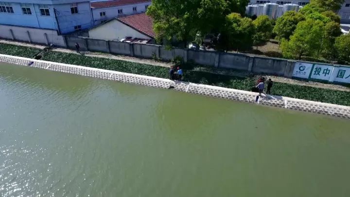 砥砺奋进的5年超美嘉定的生态宜居空间越来越多我爱这片嘉定绿