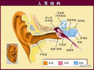 高铁耳鸣怎么办