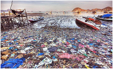 海洋垃圾正在破坏生态,再不重视这个问题地球就完了!