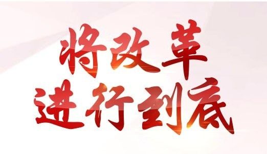 党的领导,人民当家作主,依法治国有机统一深化政治体制改革"这一目标