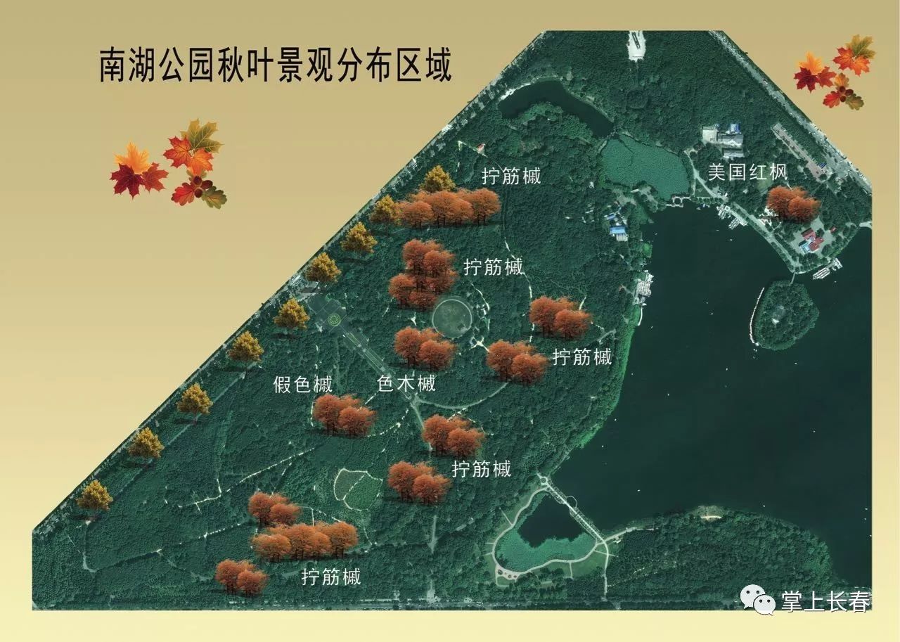十月,哪也不去,就在长春南湖公园赏秋图片