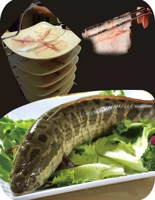 鑫御隆斑鱼庄汤底精选深秋斑鱼,用来熬汤,色泽浓白,味道醇厚,有营养