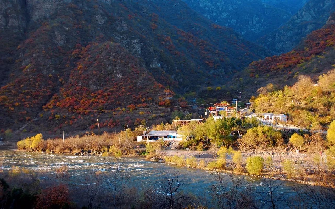 来门头沟赏红叶,采鲜果,登高峰…金秋十月,不能错过的美景都在这儿!