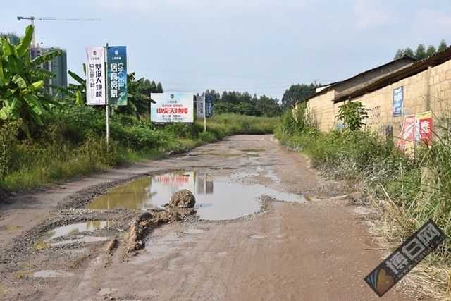 广西博白县多少人口_广西博白县地图(3)