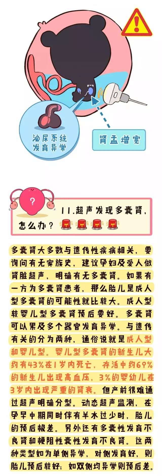 心脏畸形?颅窝积液?脉络丛囊肿?心脏强回声光点?