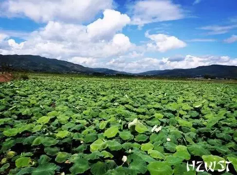 会泽娜姑人口_会泽大铜钱