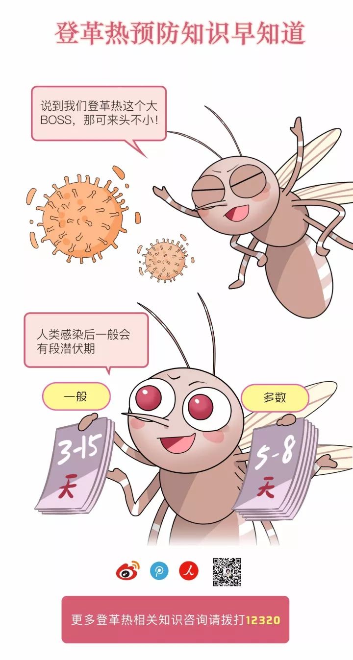 科普丨漫画图解登革热,让你不再被蚊子"叮!叮!叮!