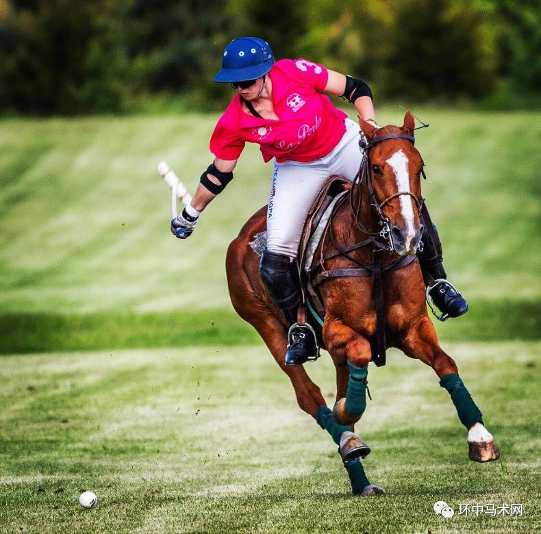 slaney o"hanlon tag: 美国/3级球手/meadowbrook polo club马球学院