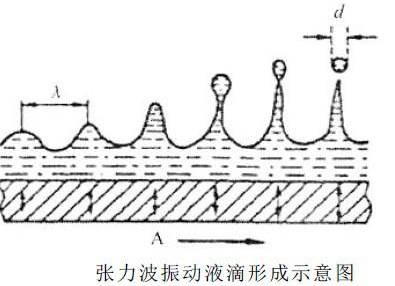 耳粉什么原理_耳石是什么样子图片