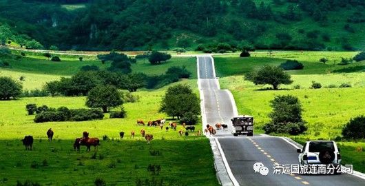 随后乘车赴仙女山游览享有"东方瑞士"之称 仙女山国家森林公园