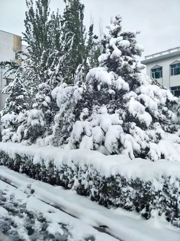 赤峰,通辽南部或有中雨转雨夹雪.