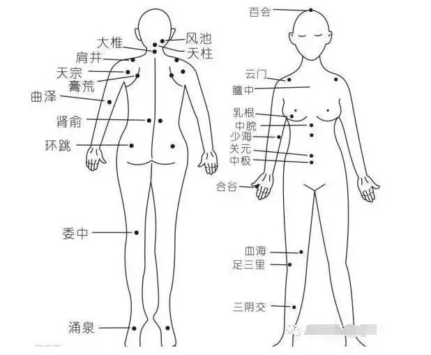 膝胸卧位原理是什么意思_膝卧位是什么姿势图片