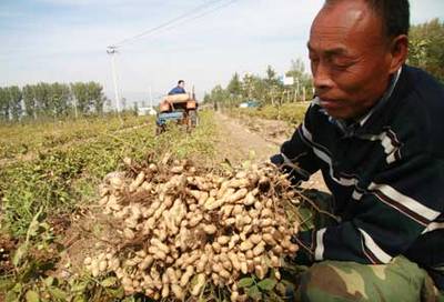 在南乐有种假期叫秋假和麦假一组老照片刷爆朋友圈