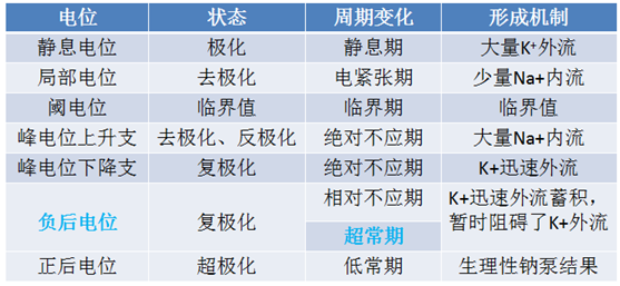 静息电位和动作电位