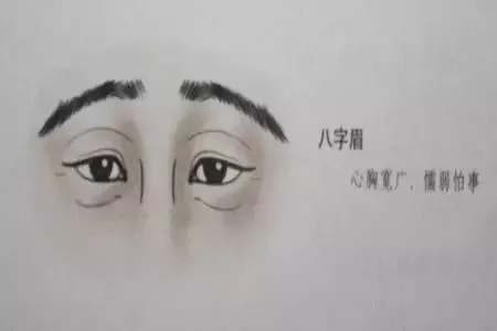 眉毛倒挂俗称"八字眉",两道眉毛的眉尾低垂,心胸开阔,看似儒雅,但胆量