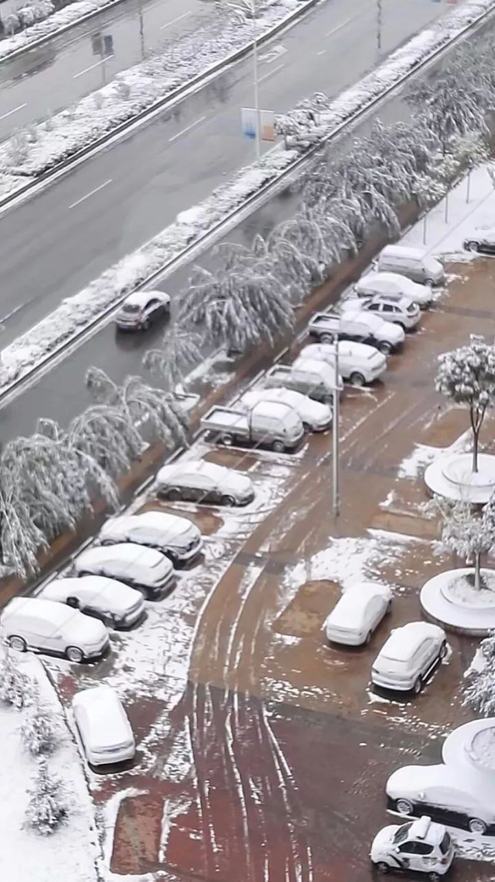 庄浪气温急降8.8℃,甘肃多地下雪,却是如此美丽冻人!