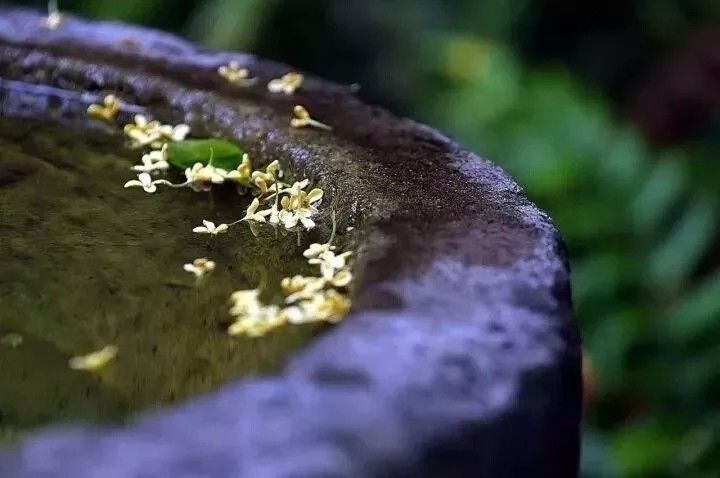 人闲桂花落,夜静春山空.