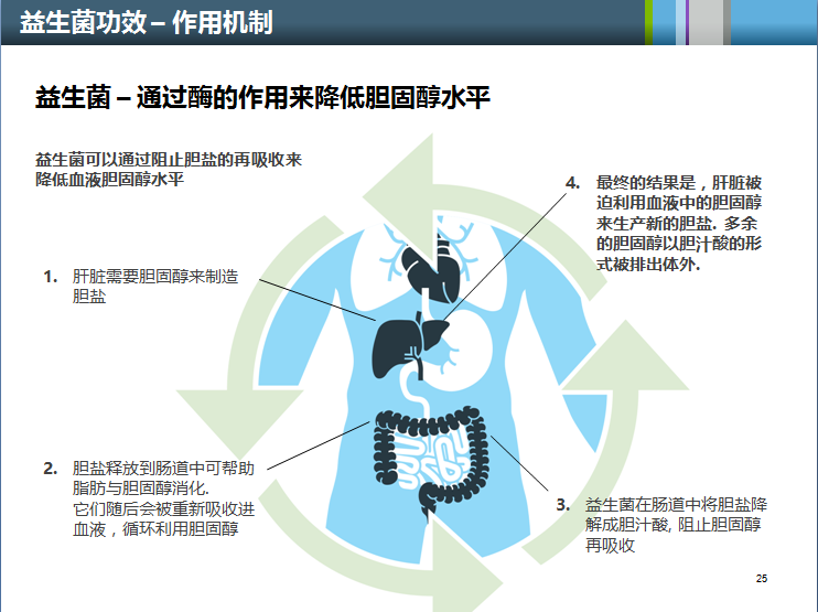 嗜酸乳杆菌ncfm能够产生两种胆盐水解酶,水解胆盐降低血清胆固醇水平.